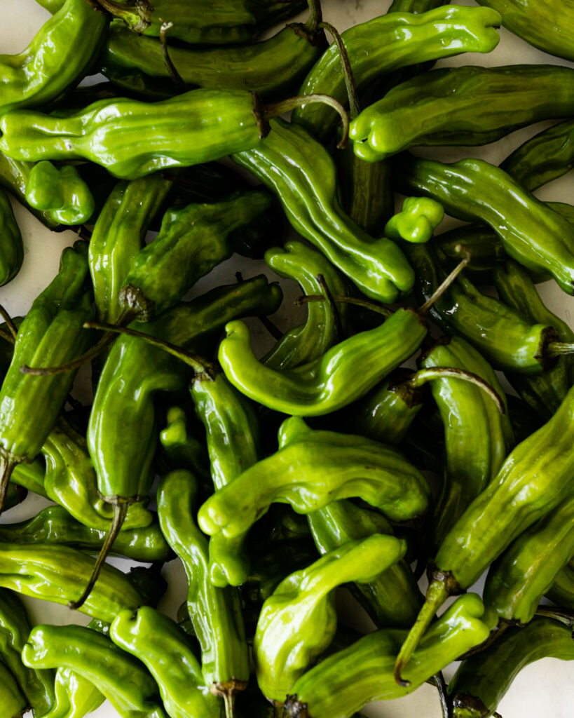 close up of raw shishito peppers.