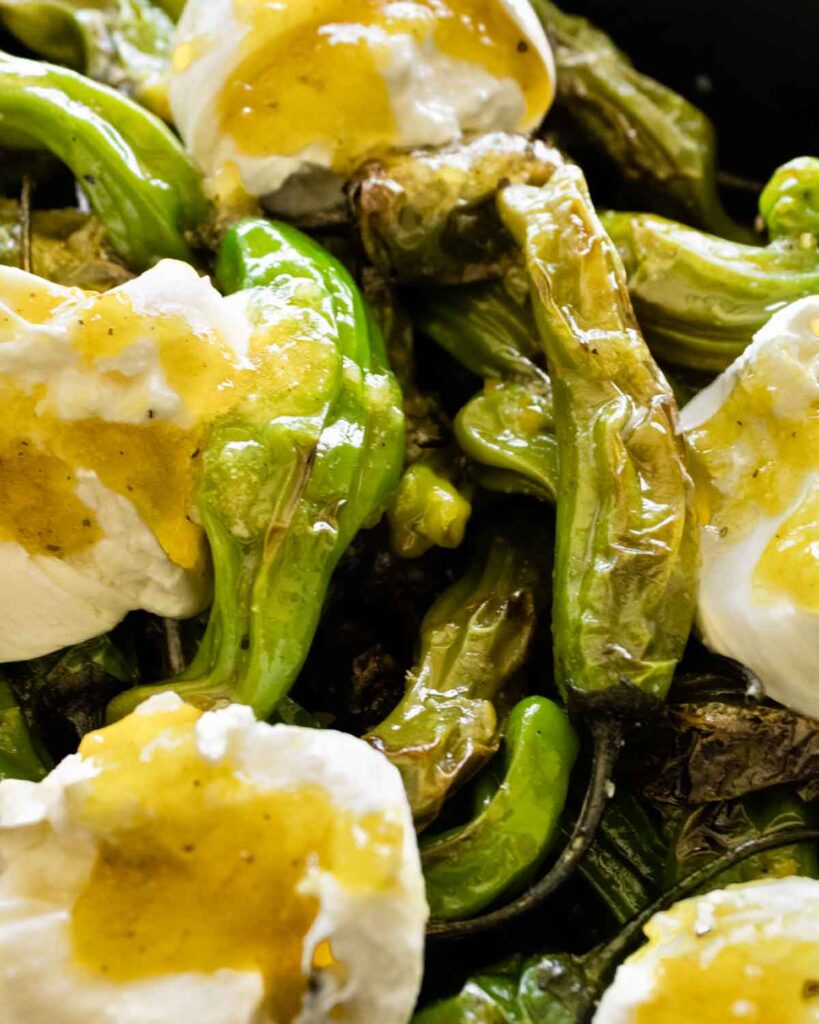 blistered shishito peppers and burrata on drizzled with preserved lemon vinaigrette.