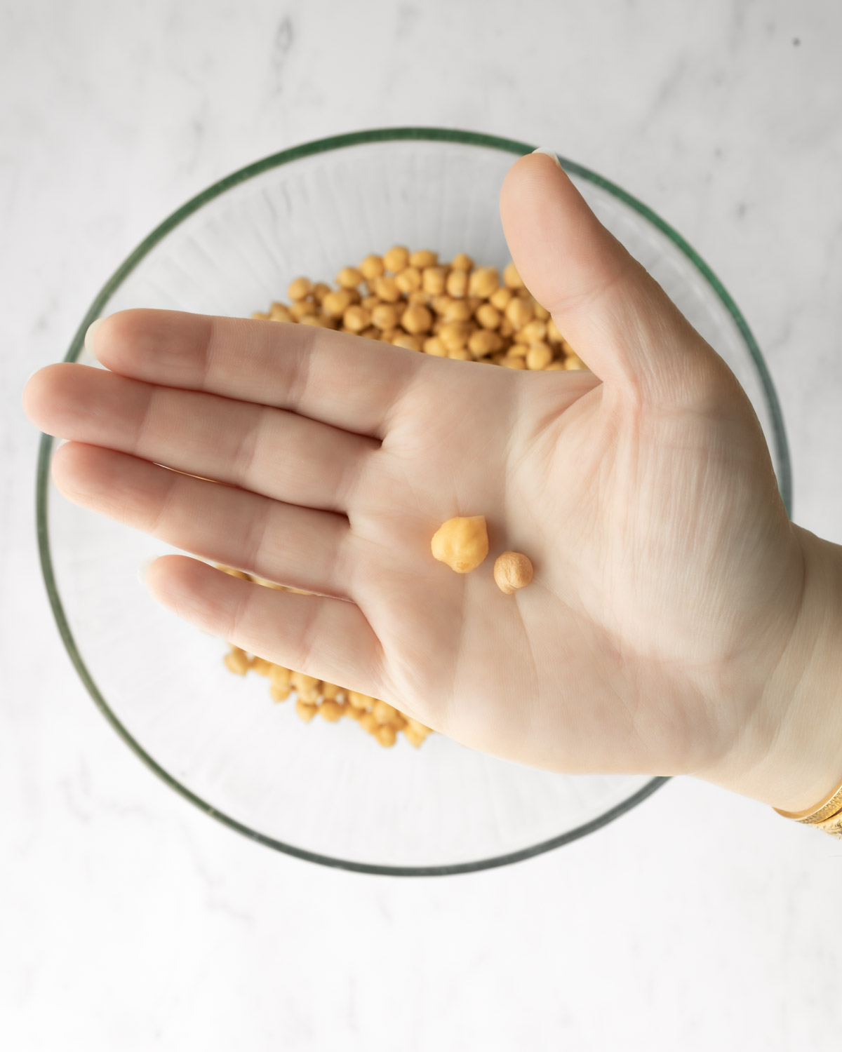 a dried chickpea and a soaked chickpea in the palm of a hand for size comparison.